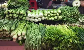 铁腕出击 筑牢食品安全、产品质量、网络表演与生态环境保护防线