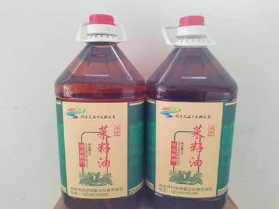 党建引领产业兴旺 筑牢食用农产品安全发展根基