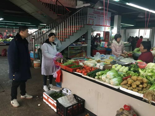食品快检进市场 助力监管保安全——守护食用农产品从田间到餐桌的“最后一公里”