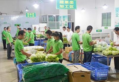 寮步蔬菜配送公司 为工厂食堂提供平价蔬菜及食用农产品配送服务