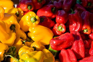 安徽食药监局多措并举，扎实推进食用农产品交易市场食品安全规范化建设