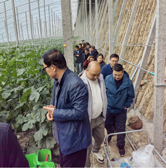 赋能农业合作社，护航舌尖安全——赞华集团助力许昌建安区农产品质量提升培训项目圆满结班